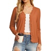 Pumpkin Orange